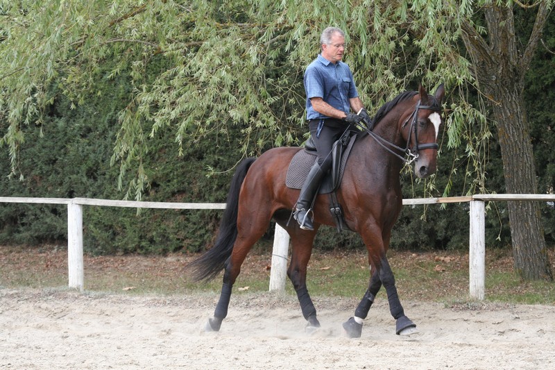 La Amazona Internacional Teresa Jauquicoa ha impartido un Clinic en Navarra